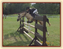 MČR pony 2004, Hradec Králové, 3.kolo parkur SPA, rozeskakování