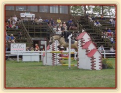 MČR pony 2004, Hradec Králové, 3.kolo parkur SPA