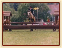 Mistrovství středočeské oblasti ve skocích pony, Heroutice 2003. Radka a Greisy vybojovaly v dvoukolovém LPA medaili za druhé místo.