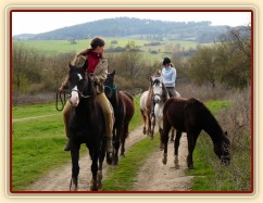 Květen 2010, odvádění stáda hřebců na pastviny, Grant neměl problémy s voděním dalších koní