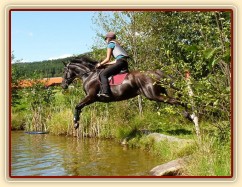 Arwen a skok do rybníka, Crossový trénink v Borové 29.8.