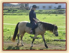 Radka a galen: uvolňování koně v kroku na dlouhé otěži