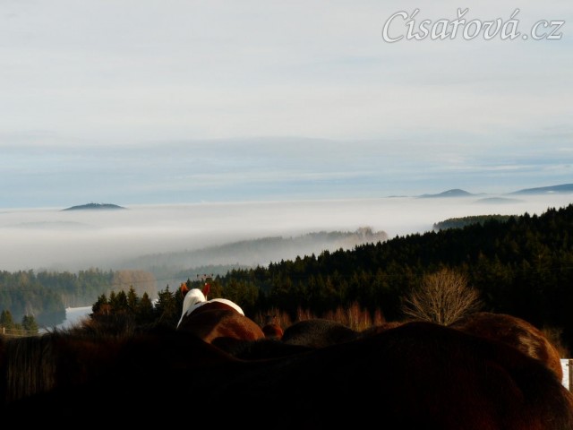Koně u seníku s výhledem na mlhu