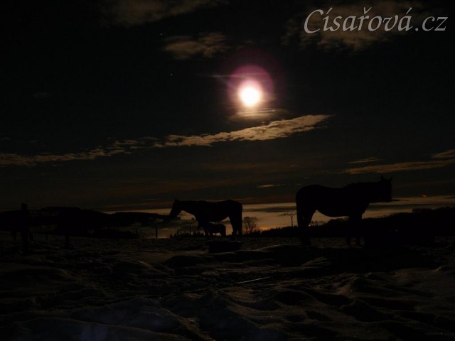 Koně čekají na večeři, svítí měsíc, v údolí je mlha