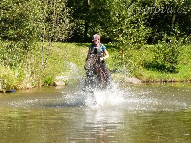 Arwen kluše vodou v rybníce, Crossový trénink v Borové 29.8.