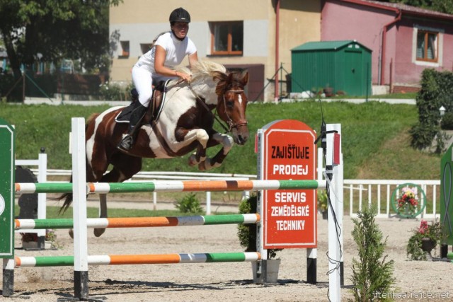 Vikina, parkur ZL Klatovy, 3. místo z 80 koní, srpen 2012