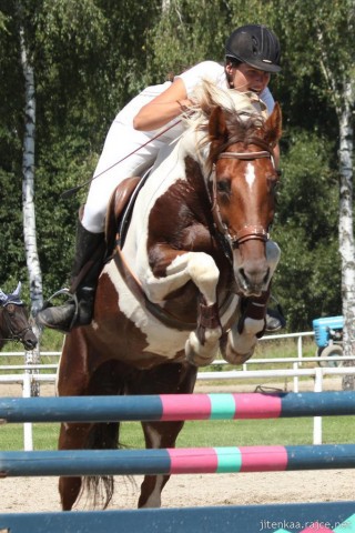 Vikina, parkur ZL Klatovy, 3. místo z 80 koní, srpen 2012